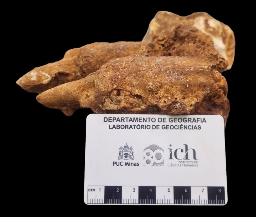 Fóssil de preguiça-gigante foi resgatado de gruta em MG; Detalhe das garras do animal da Megafauna