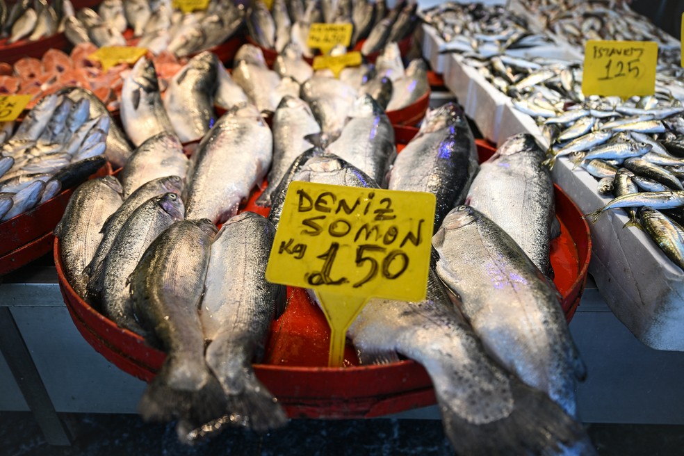 Salmões turcos são exibidos em um mercado de peixes em Trebizonda, no Mar Negro — Foto: Oman Koze/AFP