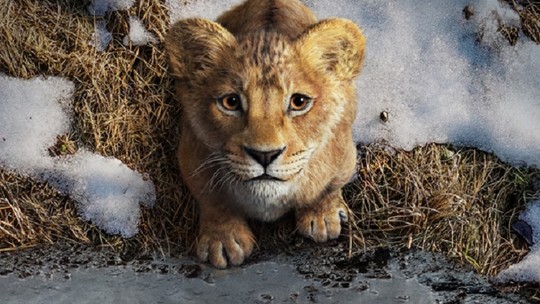 'Mufasa: O rei leão' tem primeiro trailer revelado; assista aqui