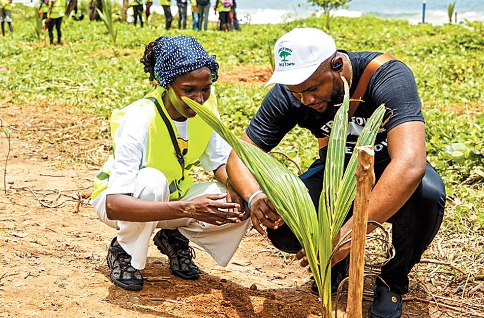 Residents paid to plant trees: 5 million more by 2030 - Image: Disclosure