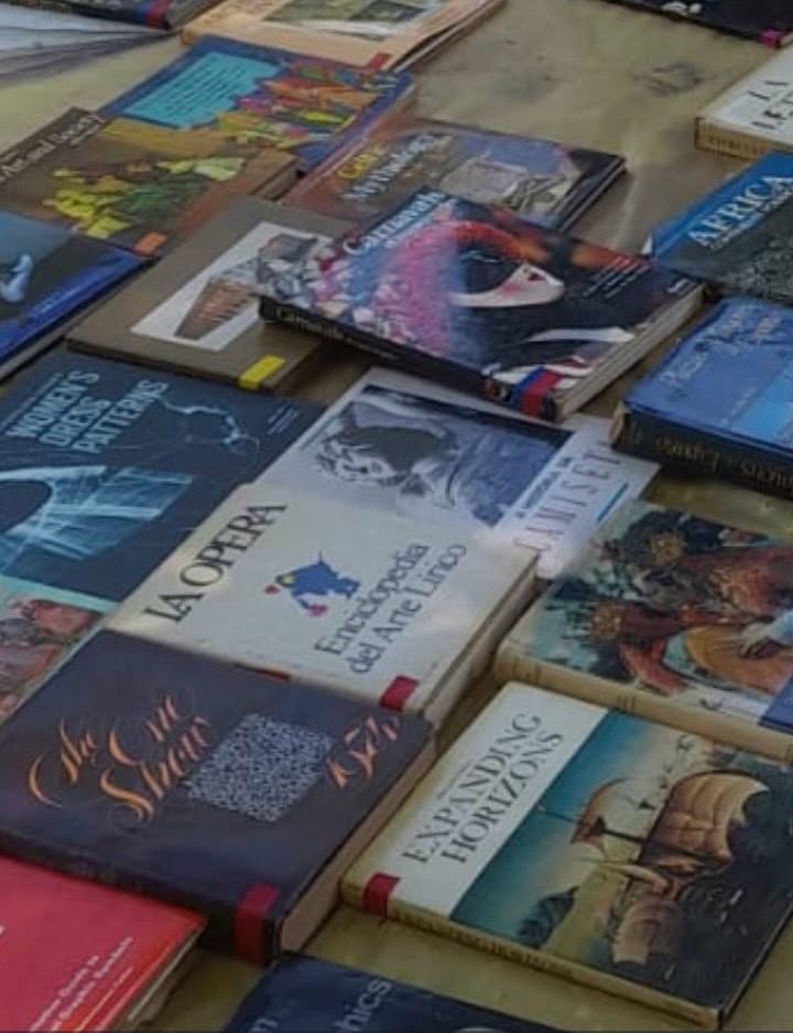 Livros do acervo de Rosa Magalhães estão à venda na Praça XV, diz amigo da carnavalesca