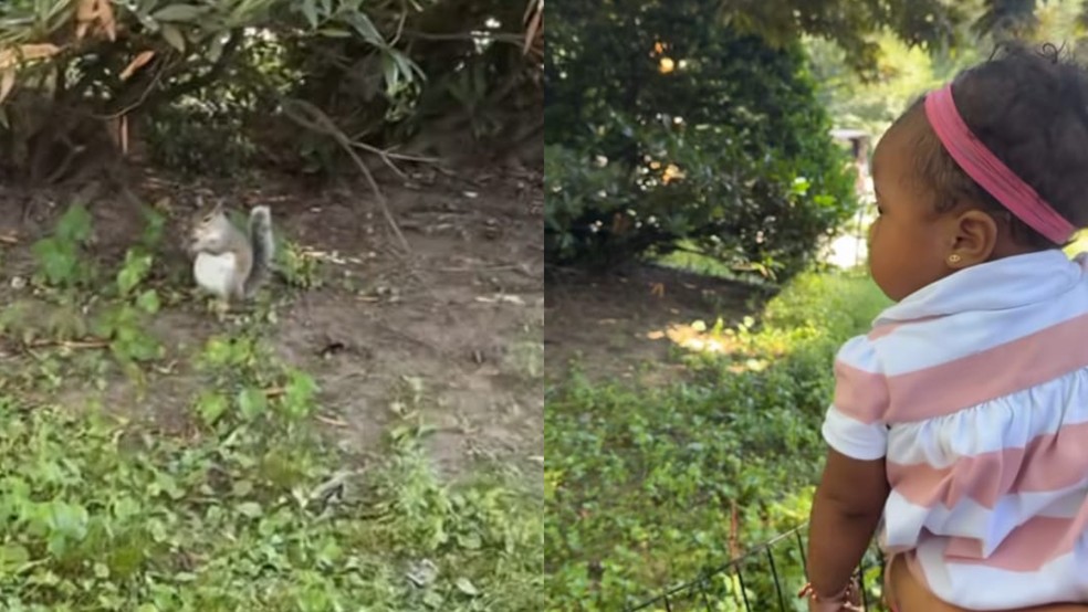 Filha de Arias, Zoé, no Central Park — Foto: Reprodução redes sociais