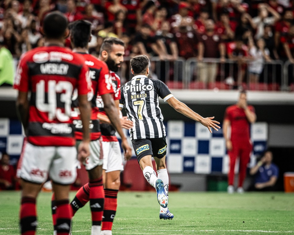 Goiás x Santos: onde assistir ao vivo na TV e online, que horas é,  escalação e mais do Campeonato Brasileiro