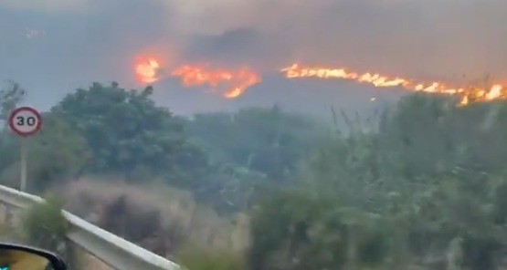 Incêndio florestal deixa 11 mortos e 19 desaparecidos no sul da Espanha; vítimas podem ser turistas estrangeiros