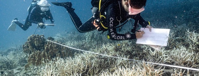 Professora de conservação da Black Turtle Dive, Sandra Rubio e sua aluna de conservação e ciência cidadã Nannalin "Fleur" Pornprasertsom pesquisando corais branqueados ao redor da ilha de Koh Tao, no sul da Tailândia. — Foto: Foto: Lillian SUWANRUMPHA / AFP)