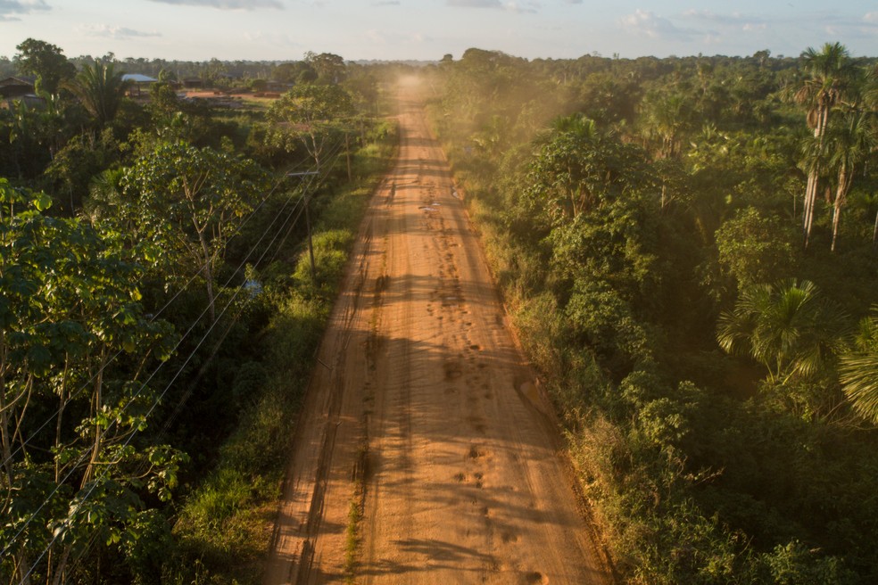 Rodovia BR-319, no Amazonas. — Foto: Brenno Carvalho / Agência O Globo