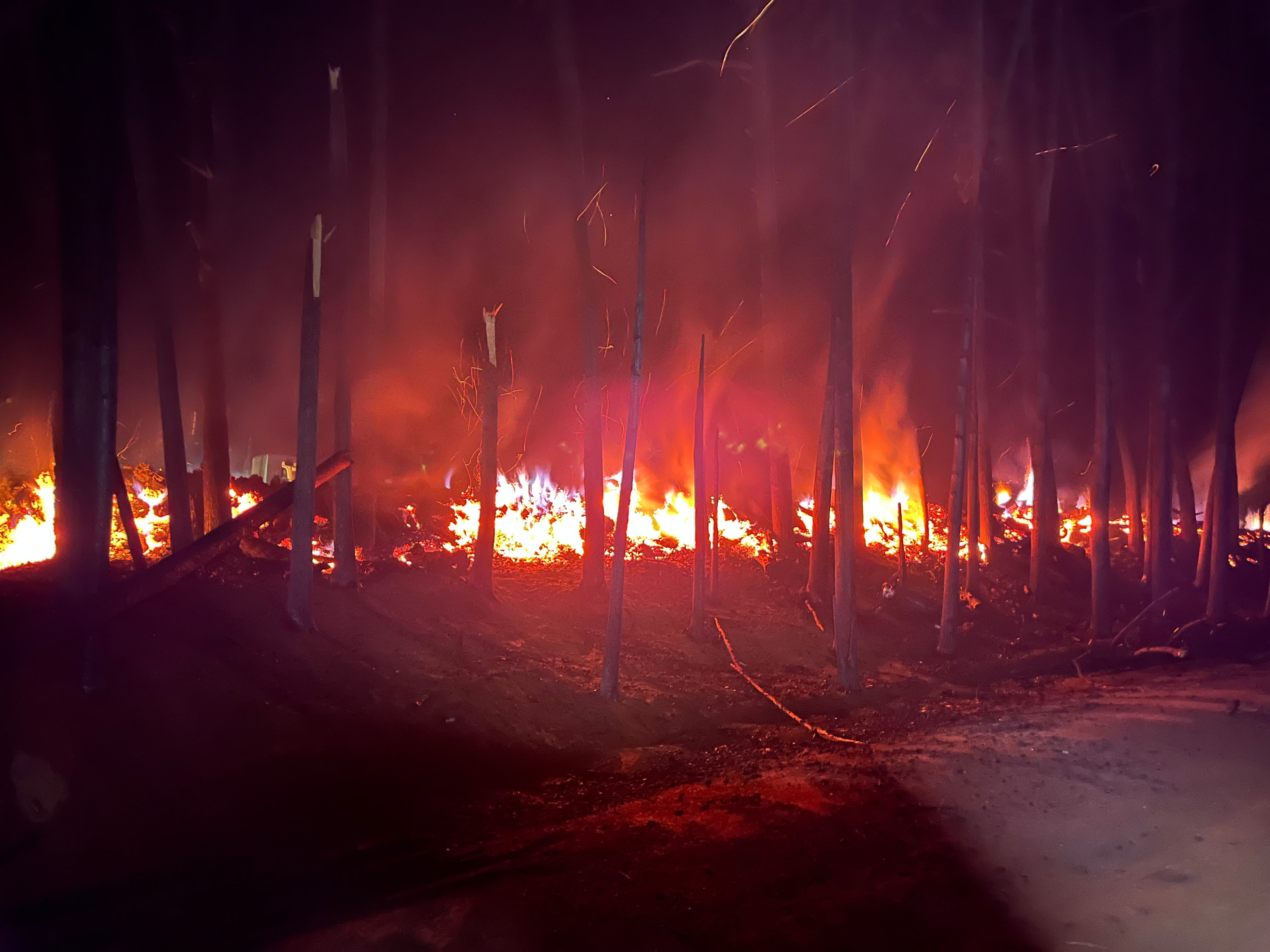 El Niño: governo federal coloca mais de 500 municípios em alerta vermelho para risco de fogo até novembro - Foto
