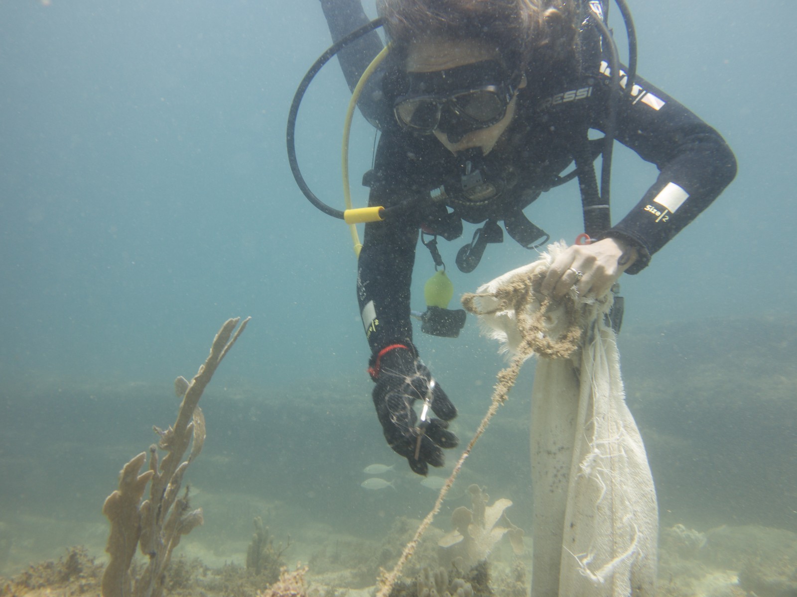 Voluntária da ong global Sea Shepherd coleta petrecho de pesca na água — Foto: Sea Shepherd / Divulgação