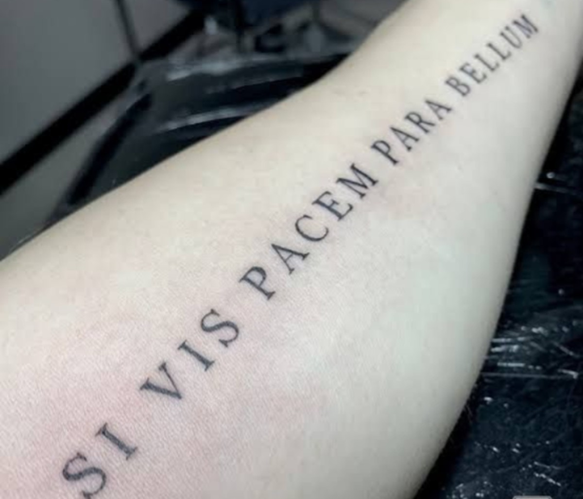 'Si vis pacem, para bellum': o que significa a frase em latim que ...