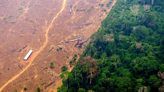 Novo plano contra desmate na Amazônia terá comando direto do Planalto
