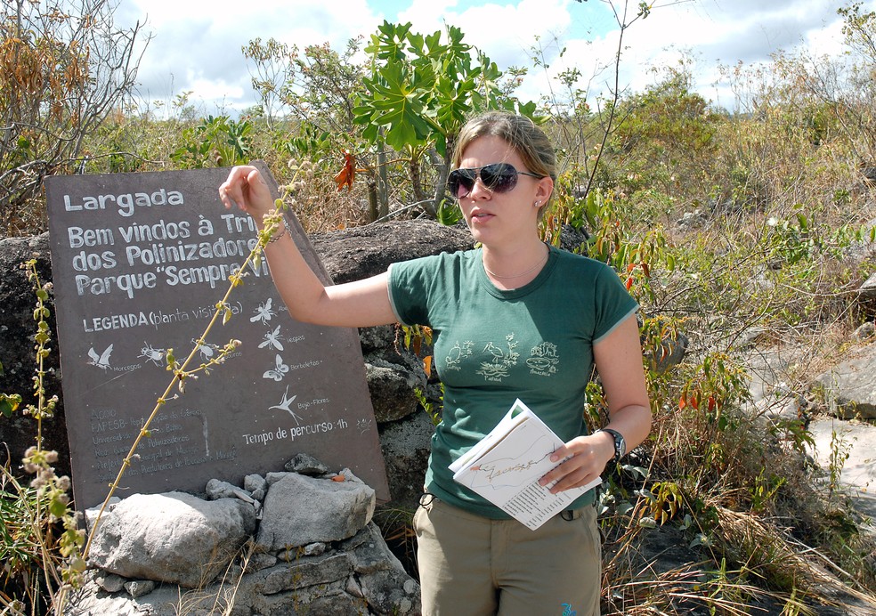 Juliana Hipolito, professor at the National Institute of the Atlantic Forest - Photo: Disclosure