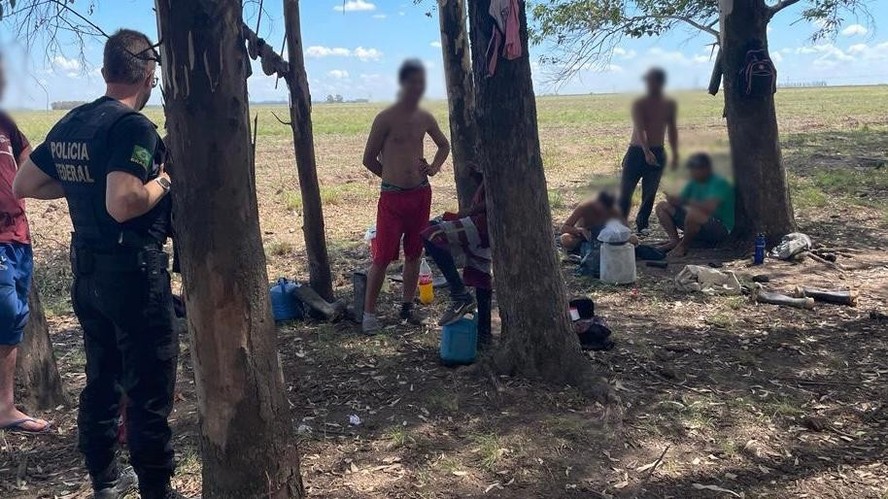 Uruguaiana, RS: 56 trabalhadores foram resgatados em condições degradantes em fazendas de arroz