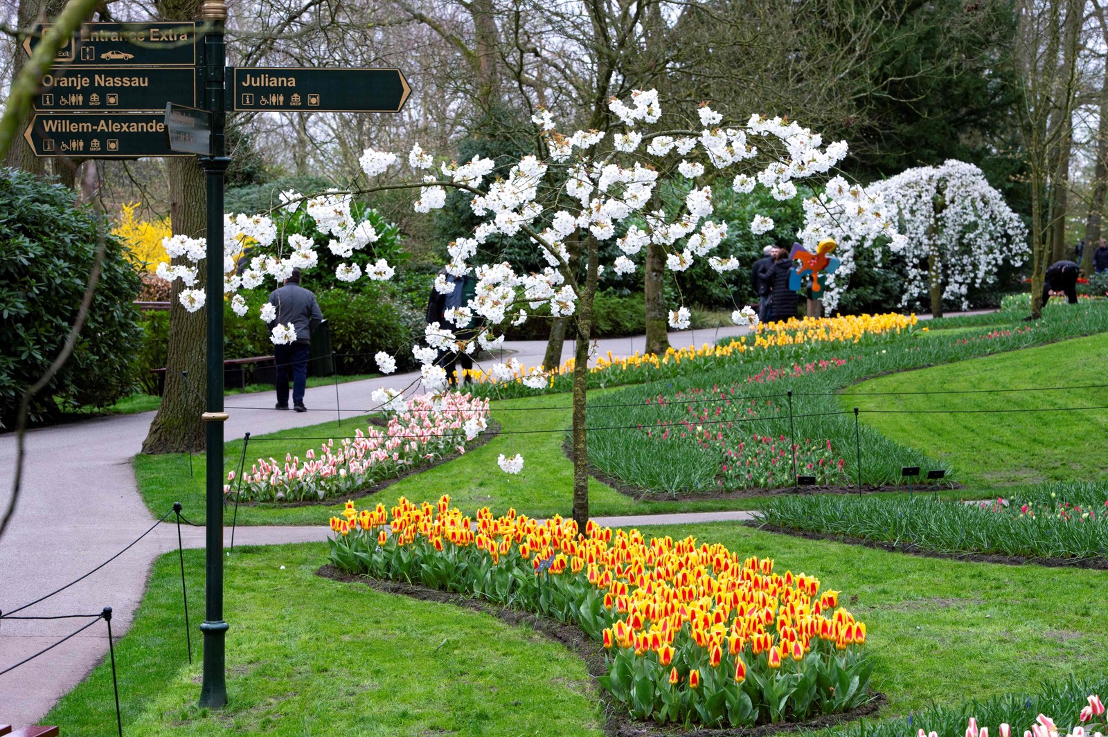 Garden of tulips and other flowers at Keukenhof Gardens in Lisse, near Amsterdam, Netherlands — Photo: Nick Gammon / AFP