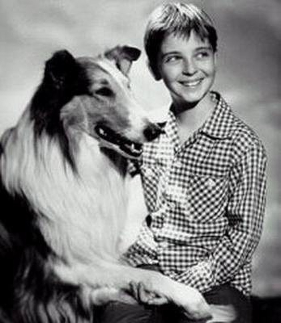 1954, Lassie - Foto: divulgação