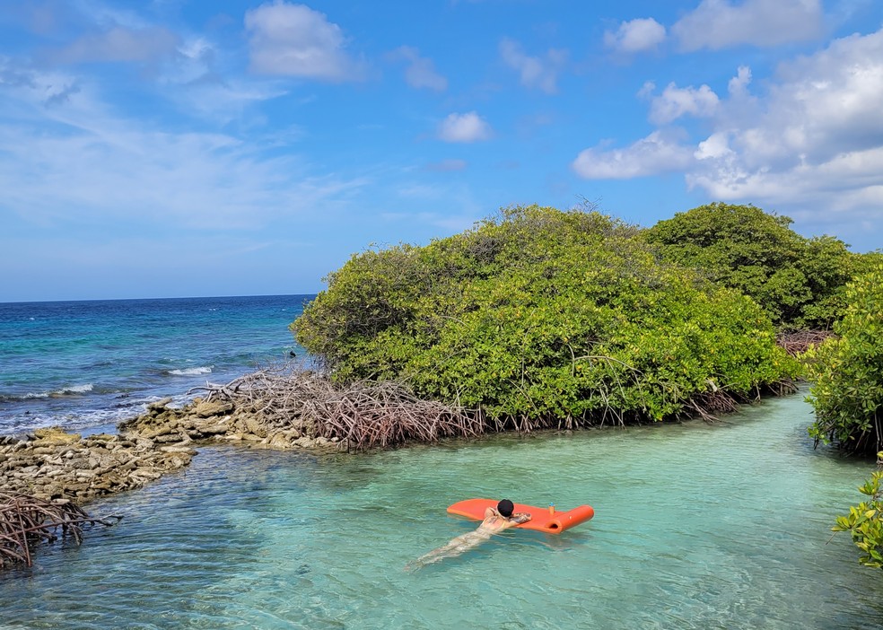 Turista relaxa na piscina natural entre o mangue e o mar num cayo em Aruba, no Caribe — Foto: Eduardo Maia / O Globo