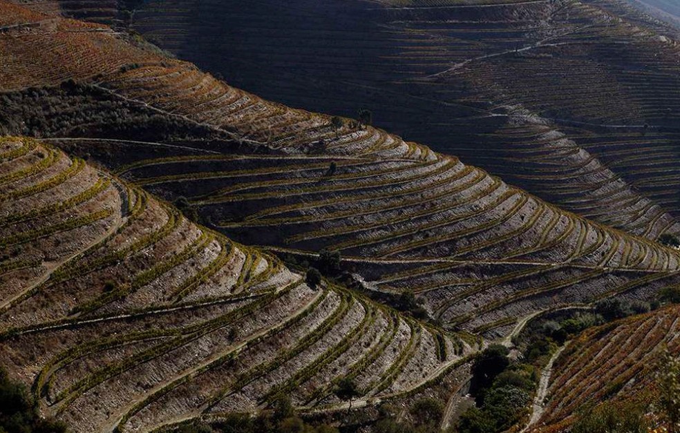 O Douro, no Norte de Portugal: de incrível beleza, região produz vinhos que ganham o mundo — Foto: Divulgação