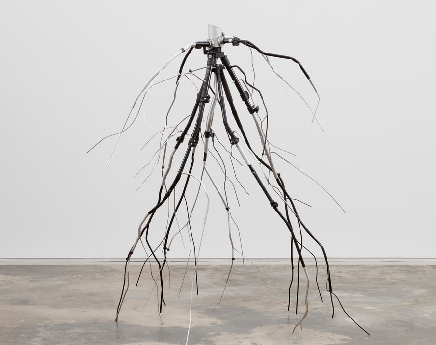 De Josh Callaghan a Di Cavalcanti: cinco novas exposições gratuitas na ...