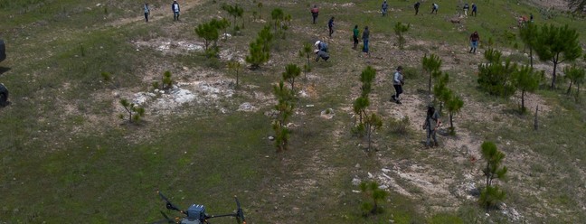 México usa drones para dispersar sementes e reflorestar florestas queimadas — Foto: Enrique Castro/AFP