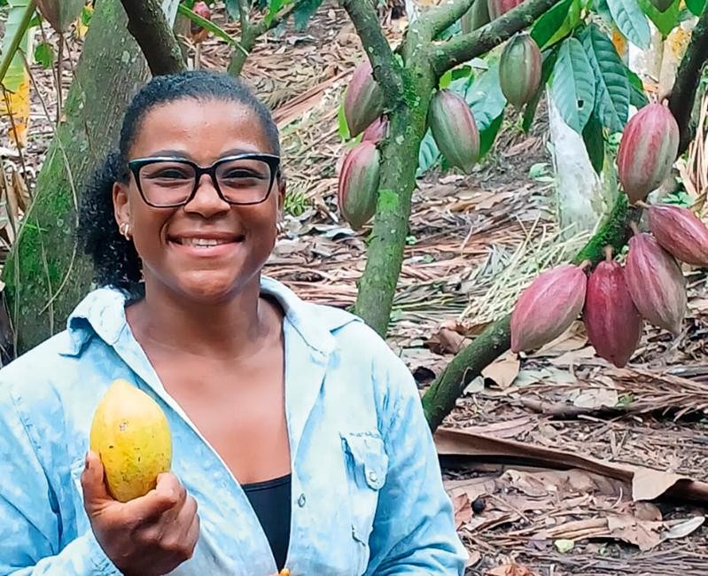 Mesmo com preço e demanda em alta, falta crédito para plantar cacau