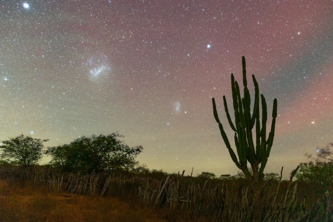 Raso da Catarina, Bahia — Foto: Igor Borgo/@igorborgo