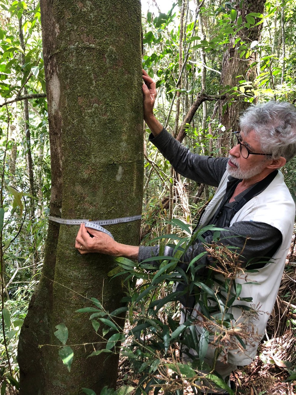 The octogenarian specimen of Favero da Mata was found in Valencia, in the conservation unit managed by the State Environmental Institute - Photo: Fernando Fernández