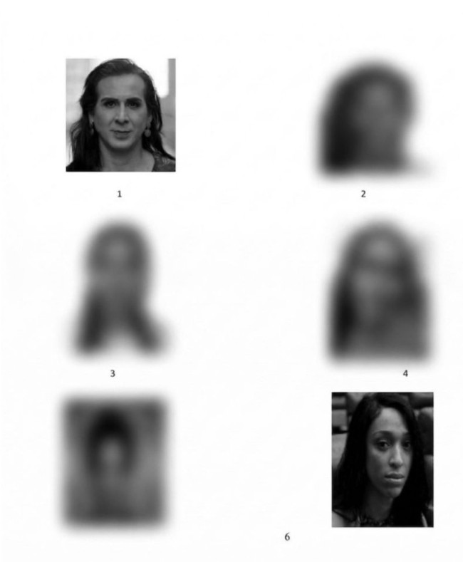 Duda Salabert pede explicações ao governo do PE após fotos dela e Erika Hilton aparecerem em álbum de suspeitos