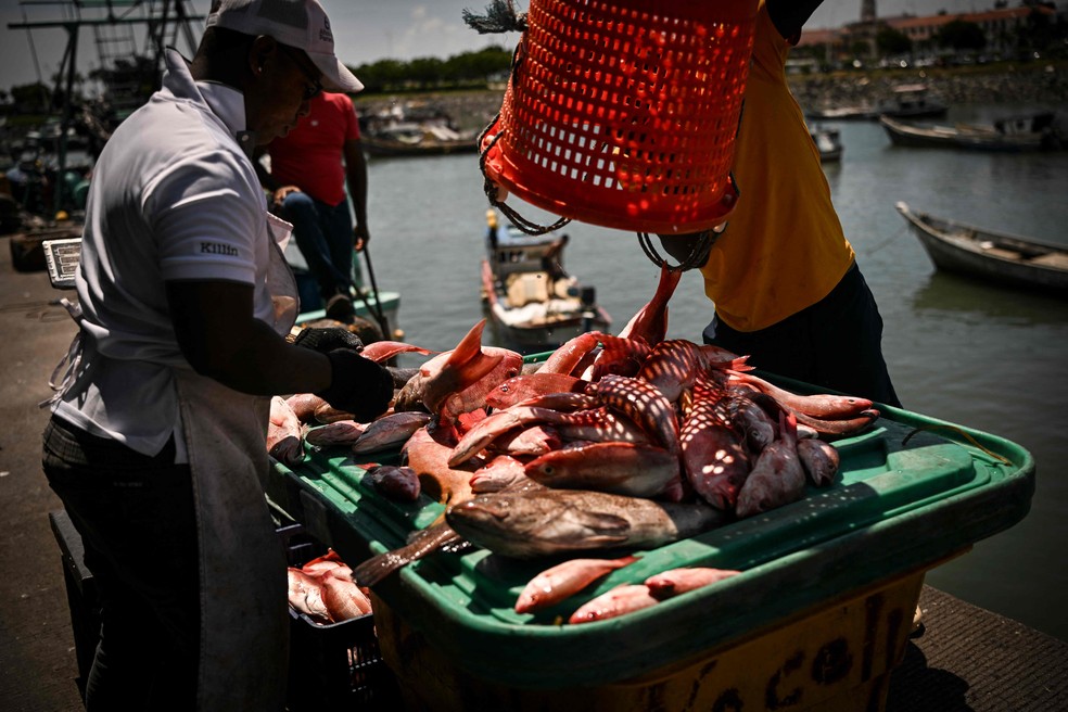 Calor atingiu níveis inéditos em agosto, e temperatura média dos oceanos ficou em 21,07 °C, comprometendo o setor de pesca na região do Caribe — Foto: Martin Bernetti/AFP