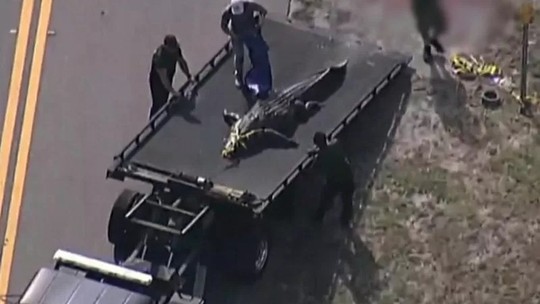Identificado corpo de mulher devorada por crocodilo de 4 metros nos EUA