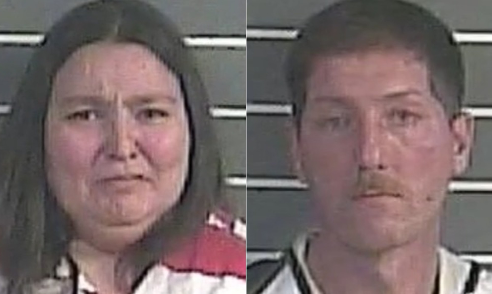 Casal é condenado após manter irmãos órfãos trancados e com fome em situação de tortura nos EUA