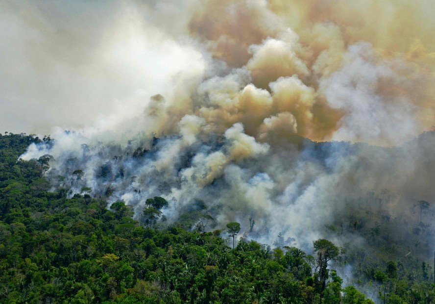 Fogo consome a floresta amazônica no Pará em 202
