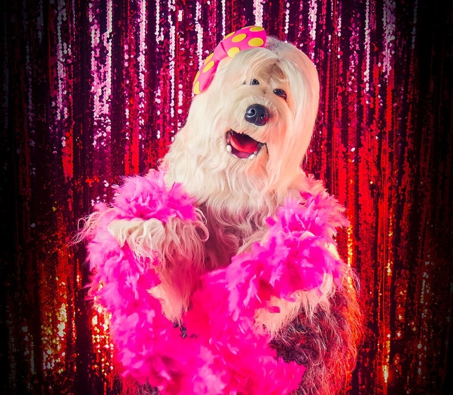 'TV Colosso' ganhará musical no teatro e voltará ao ar no Viva. Confira ...