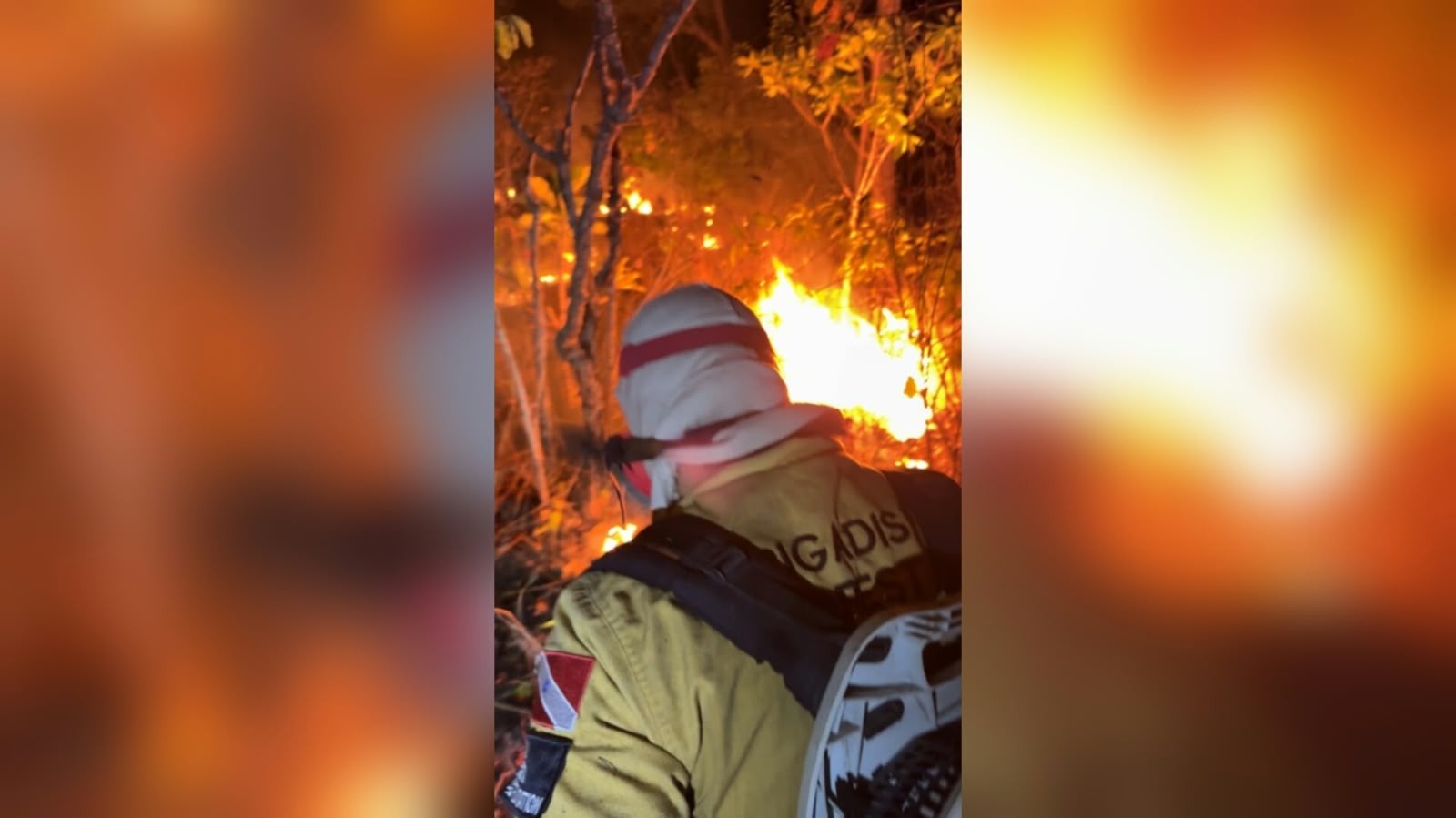 Alter do Chão registra incêndio de grandes proporções em área verde