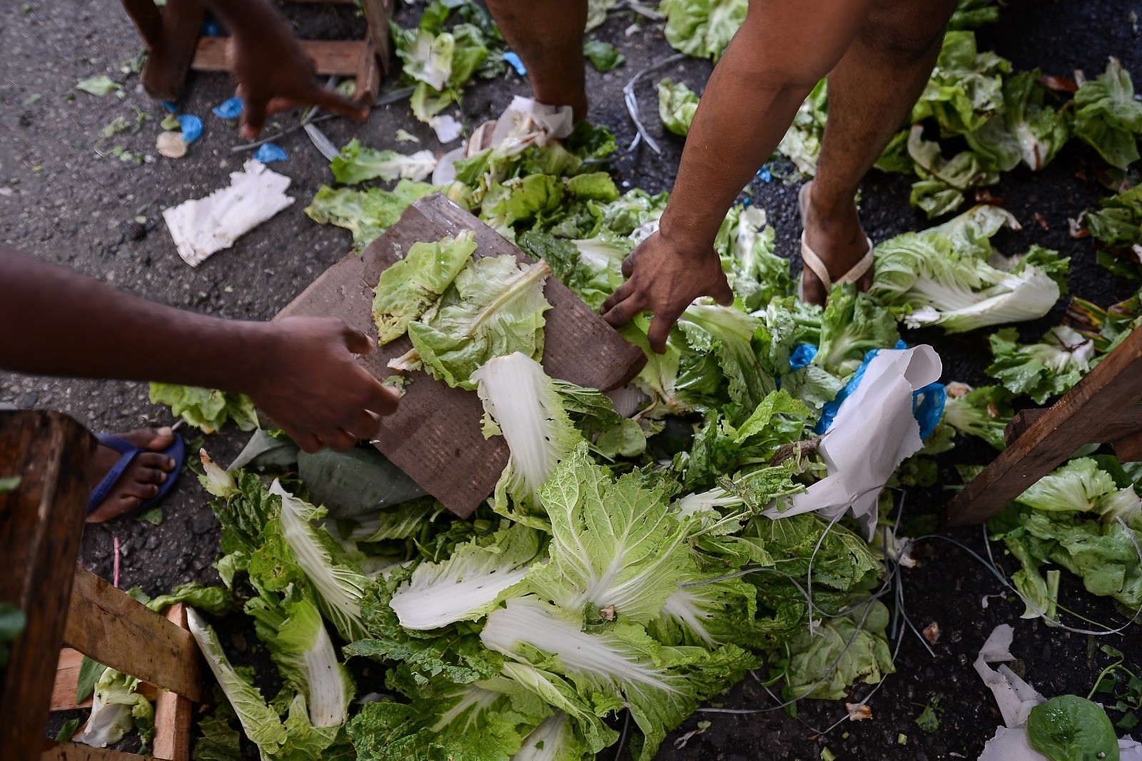 Do desperdício ao combate à fome: leis incentivam doação de alimentos no Rio; veja iniciativas e como ajudar