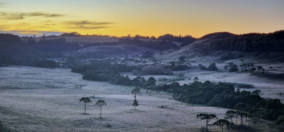 Geada no Vale do Caminhos da Neve, em São Joaquim, durante o gélido amanhecer de 31 de maio de 2022  — Foto: Mycchel Legnaghi / São Joaquim Online