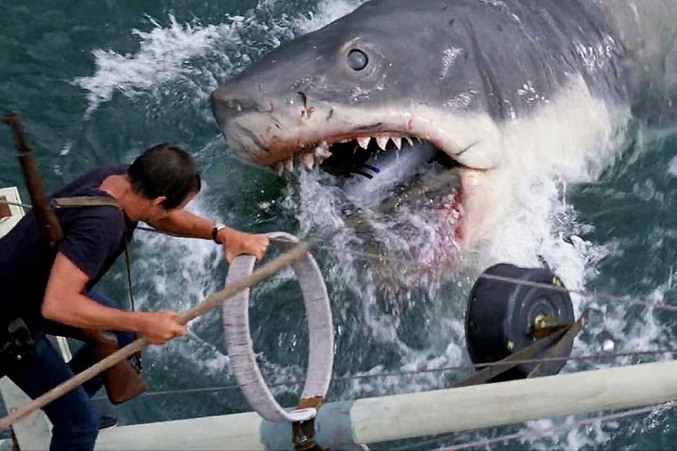 Cena do filme "Tubarão" (1975), de Steven Spielberg — Foto: Divulgação
