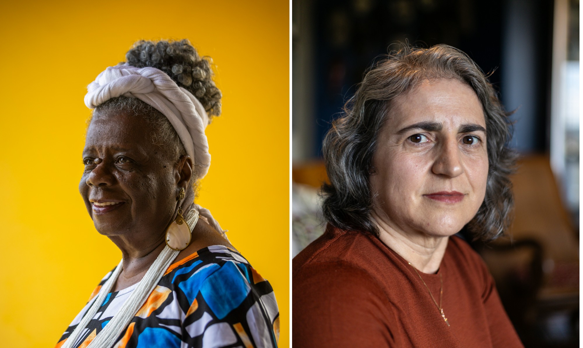 Conceição Evaristo e Regina Dalcastagnè lançam obras sobre literatura brasileira