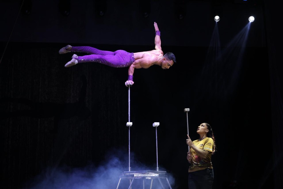 Circo dos Dinossauros — Foto: Divulgação