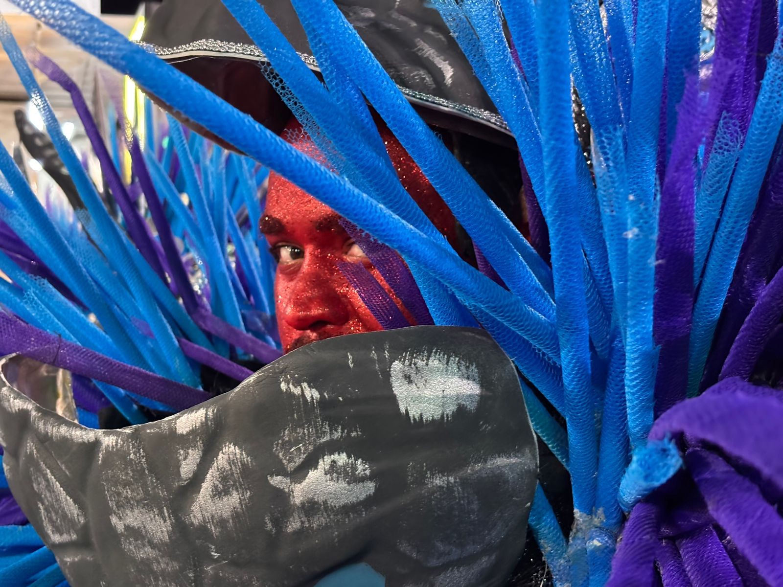 Desfile da Acadêmicos de Niterói — Foto: Alexandre Cassiano / Agência O Globo