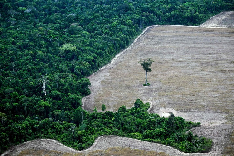 Área desmatada para plantio na Amazônia: recuperação de áreas degradadas geram créditos de carbono — Foto: Mauro PIMENTEL / AFP