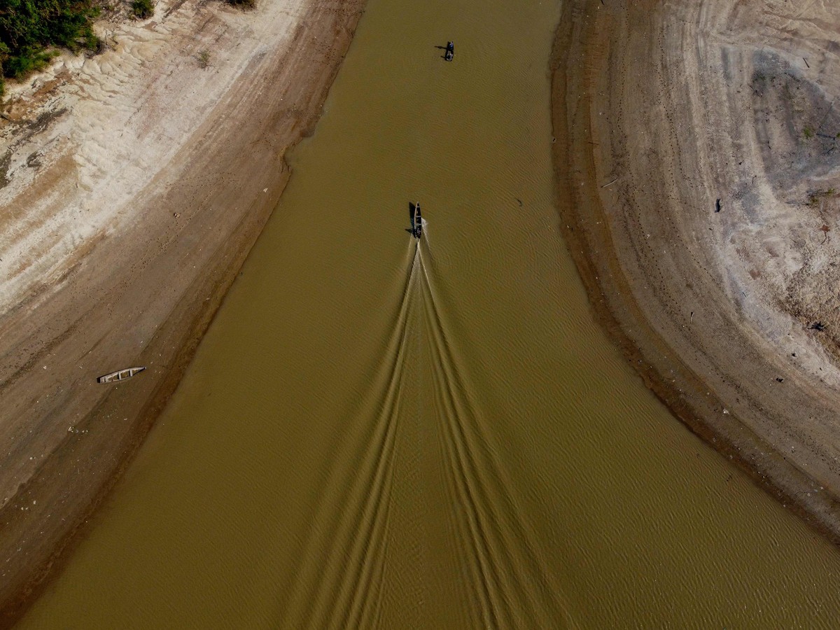 Seca na Amazônia: Rio Negro baixa 20 centímetros por dia, 130 mil ...