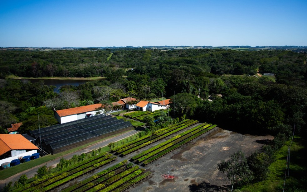 VIVA A MATA, promovido pela SOS Mata Atlântica, Parque do Ibirapuera, São  Paulo, 20-22 maio