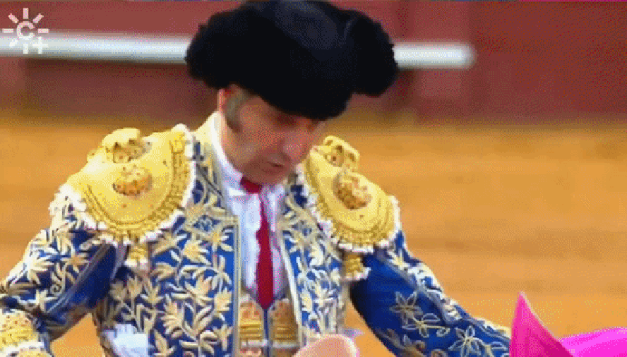 'Rei dos Toureiros' sofre ferimento grave após ser chifrado em Sevilha; vídeo