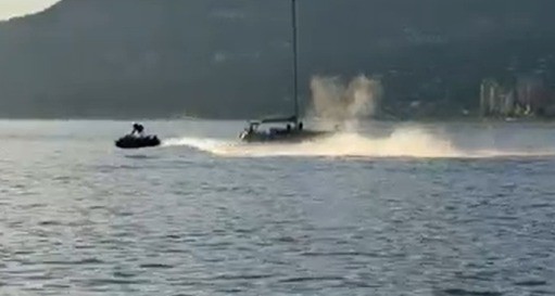 Jet ski atinge baleia no Canadá, piloto é arremessado ao mar e hospitalizado; vídeo