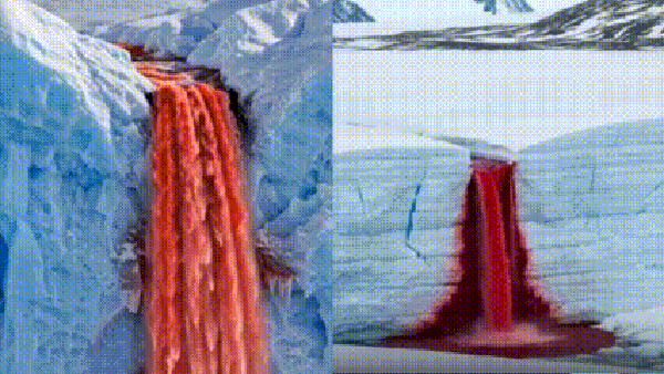 Montagem da cascata de sangue — Foto: Reprodução/Instagram