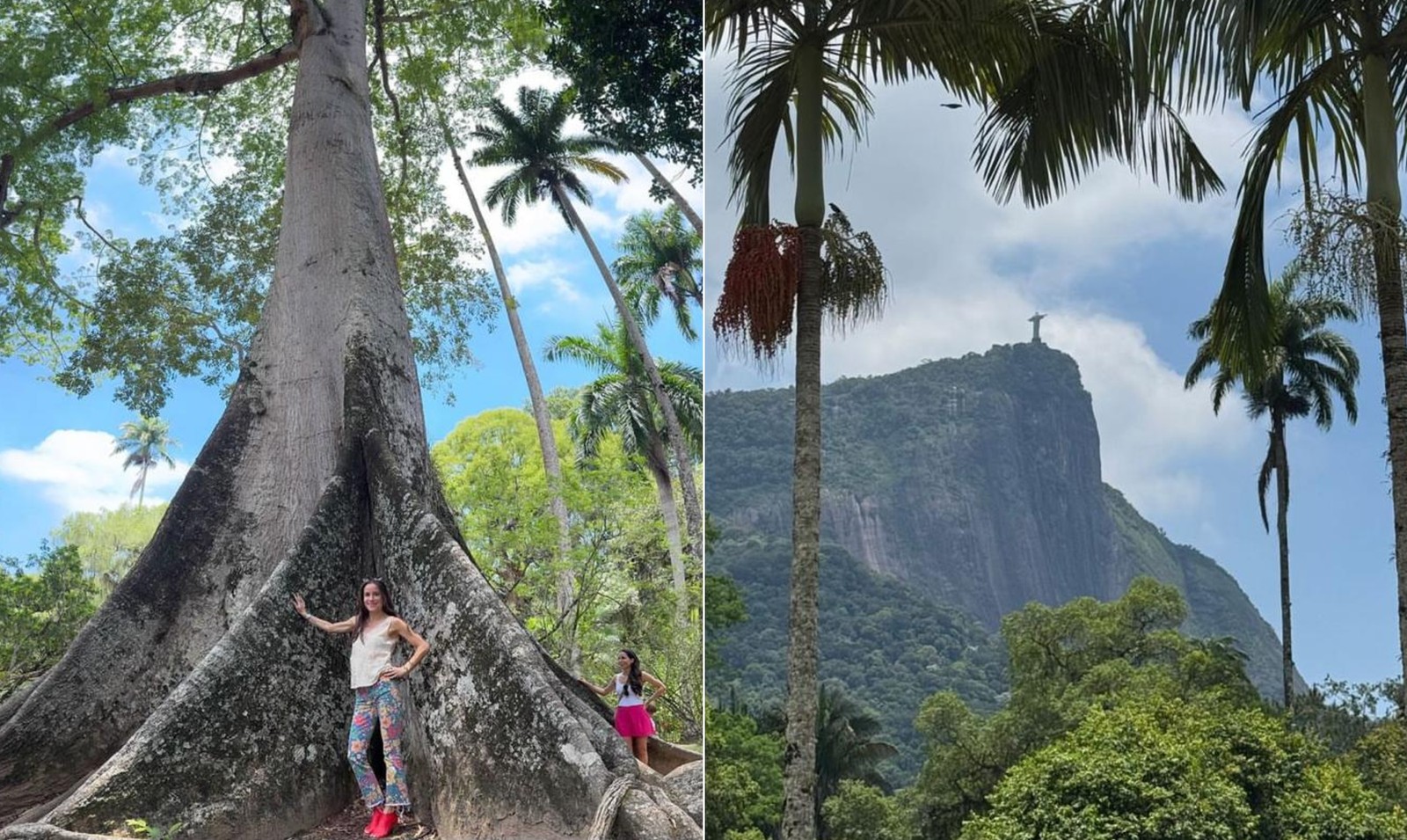 Ashley Biden posa com imponente sumaúma do Jardim Botânico, e mostra vista para o Cristo Redentor em meio às árvores — Foto: Reprodução / Instagram