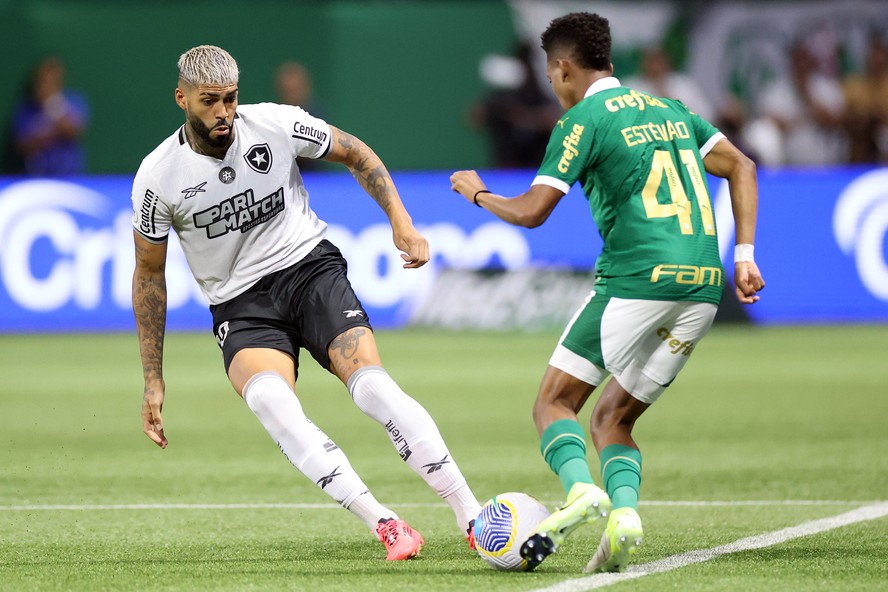 Barboza e Estêvão em duelo entre Botafogo e Palmeiras em 2024