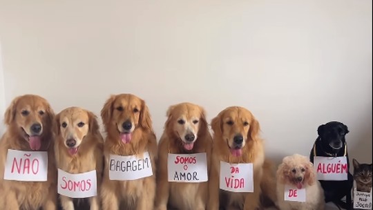 'Não somos bagagem': grupo de pets faz 'protesto' após morte do cão Joca