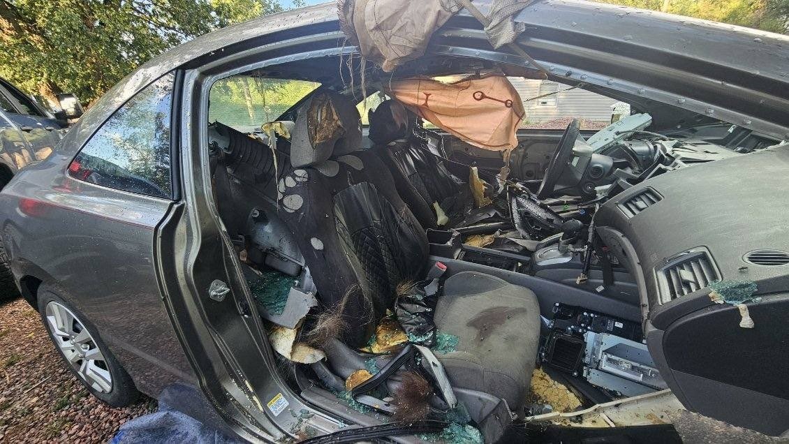 Умерший от жары медведь застрял в разбитом автомобиле в Колорадо