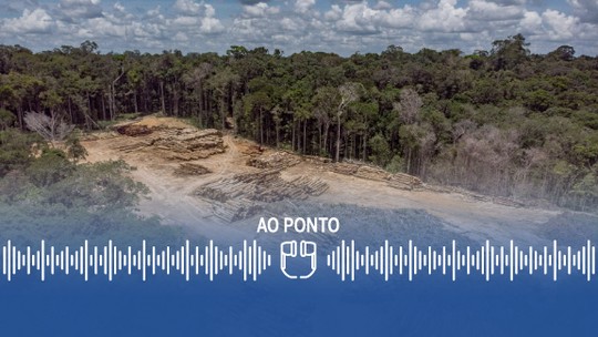 O aporte milionário dos EUA ao Fundo Amazônia e as novas ações ambientais do Brasil