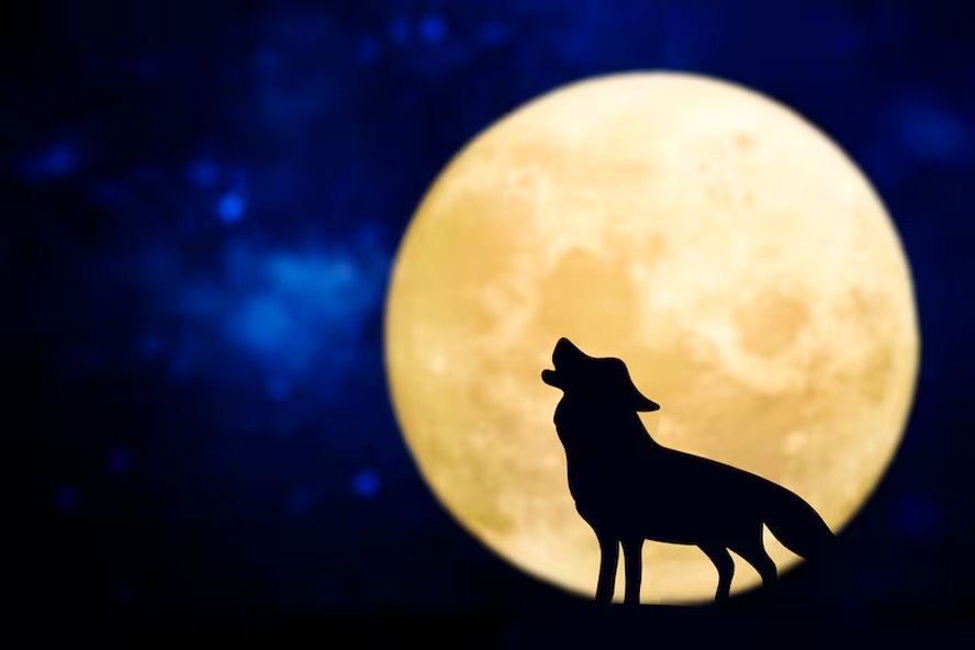 Lua cheia de janeiro é chamada de 'Lua do Lobo'